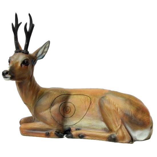SRT Roe Deer - Bedded