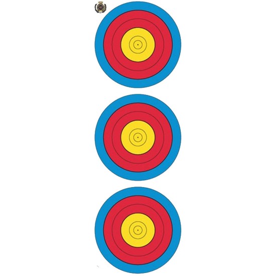 Arrowhead 60cm 3 Spot Vertical Face 