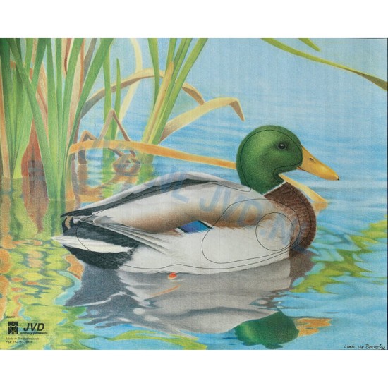 Group 2 Animal Faces