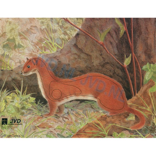 Group 1 Animal Faces