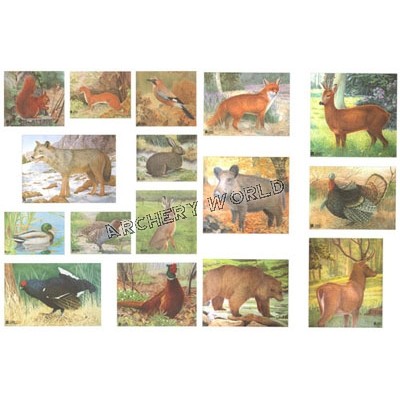 Full Set of 16 Animal Faces