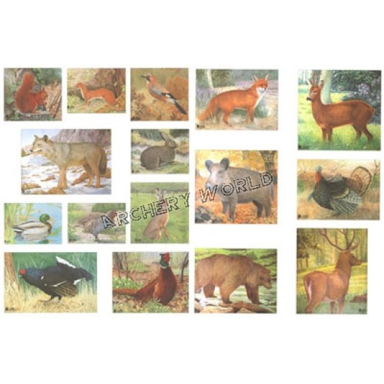 Full Set of 16 Animal Faces