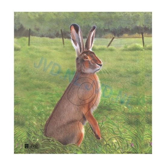 Group 2 Animal Faces