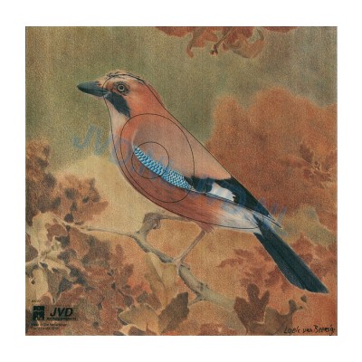 Group 1 Animal Faces