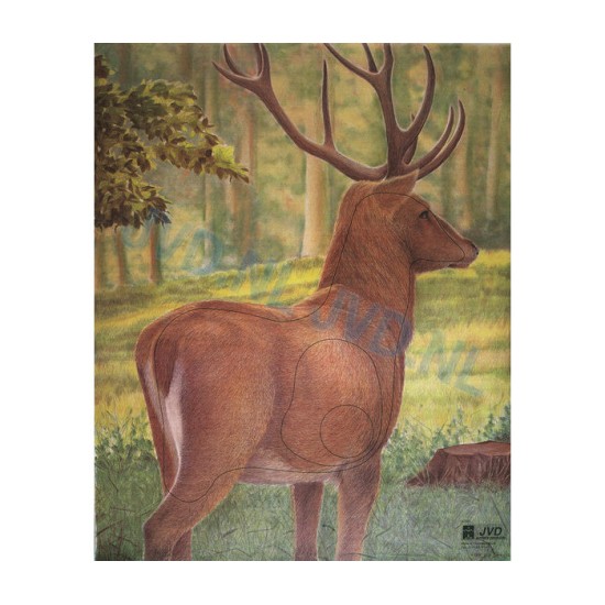 Group 5 Animal Faces