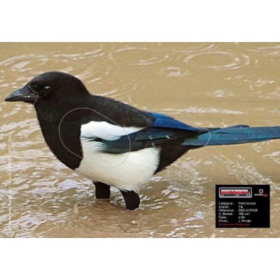 Maximal Magpie