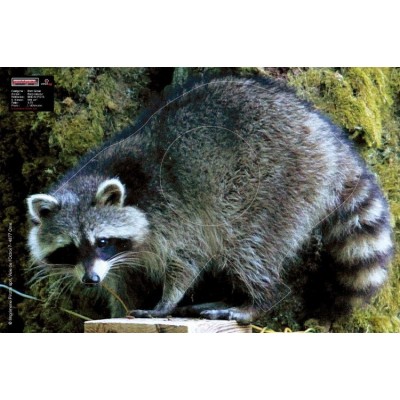 Maximal Racoon