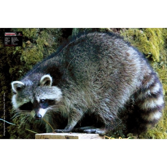 Maximal Racoon