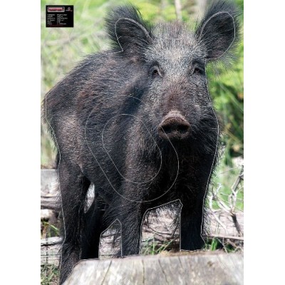 Maximal Wild Boar 