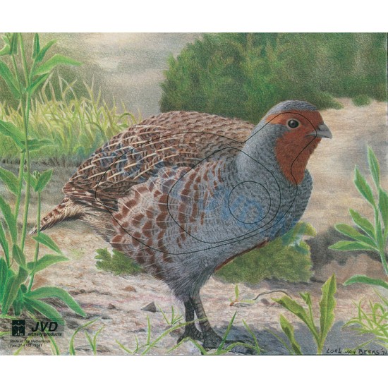 Group 1 Animal Faces