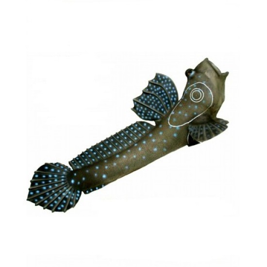 SRT Mudskipper 3D