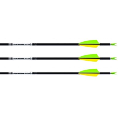 Easton ACE Carbon Arrows