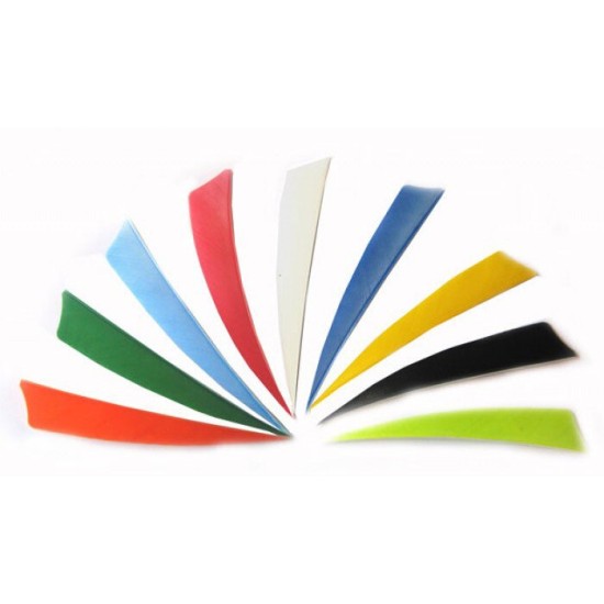 Shield Back Feathers 3"