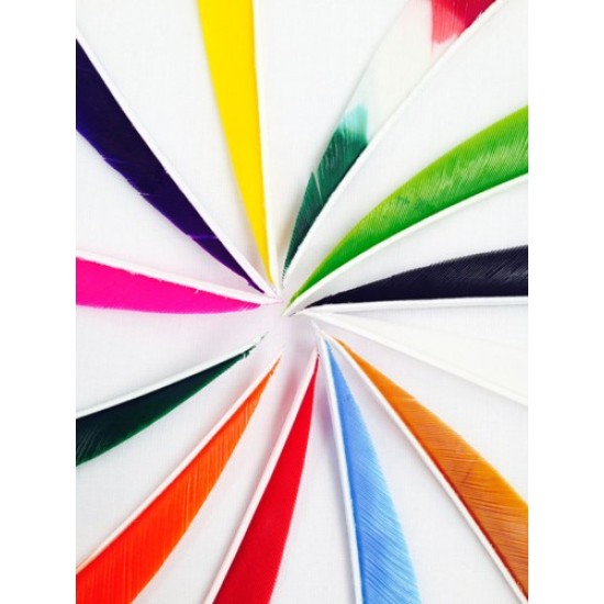 Shield Back Feathers 4"