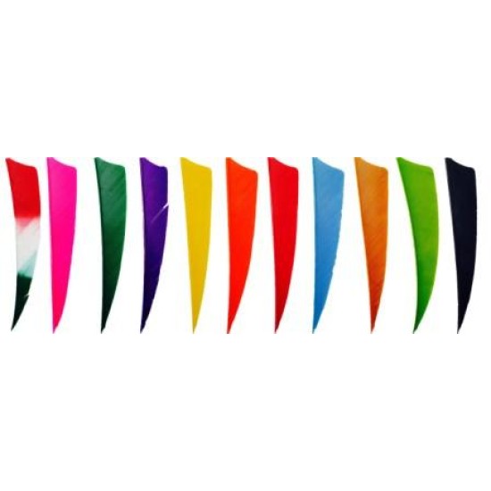 Shield Back Feathers 4"