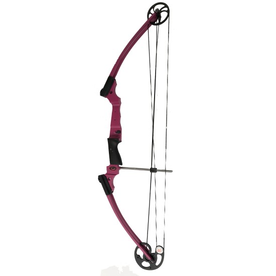 Mathews Genesis 