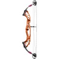 Compound Bows